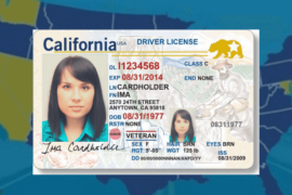 young woman's california license